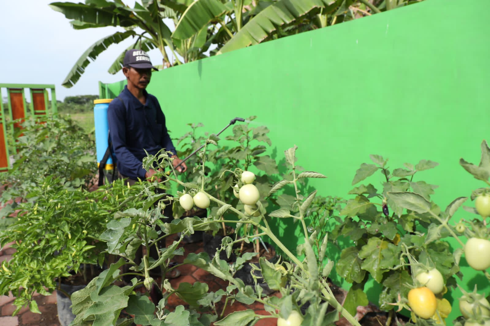 Bangun Ketahanan Pangan Berbasis Rumah Tangga, Bupati Sidoarjo Siapkan Gerakan Tanam Sayur dan Buah-buahan di Polybag