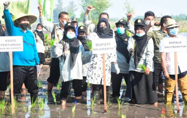 Bupati Ikhfina Tanam Lima Varietas Unggul Agar Hasil Panen Naik 30 Prosen