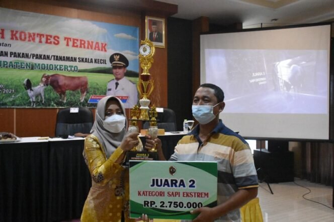 
					Bupati Ikfina Serahkan Hadiah Pemenang Kontes Peternak dan Dukung Kompetensi Peternak Milenial