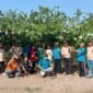 Kades Kebaron Beserta Perangkatnya Kerja Bakti di Kebun Wisata Petik Jambu