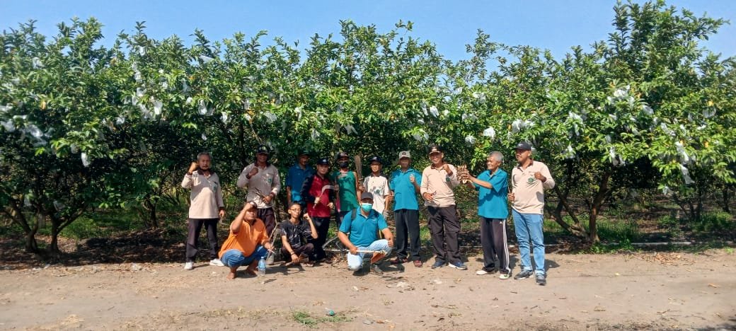 Kades Kebaron Beserta Perangkatnya Kerja Bakti di Kebun Wisata Petik Jambu