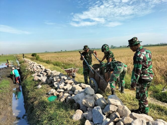 
					TNI Manunggal Membangun Desa (TMMD) Ke- 114 Di Desa Rejeni Tahun 2022 Kodim 0816 Sidoarjo
