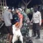 Ratusan Hewan Ternak Peternak Porong Divaksin yang Kedua