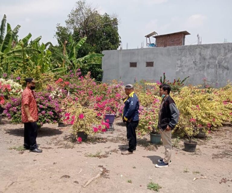 PPNS Tinjau Kali Cerung Desa Kemantren Kabupaten Sidoarjo