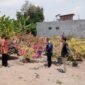 PPNS Tinjau Kali Cerung Desa Kemantren Kabupaten Sidoarjo