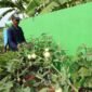 Bangun Ketahanan Pangan Berbasis Rumah Tangga, Bupati Sidoarjo Siapkan Gerakan Tanam Sayur dan Buah-buahan di Polybag