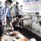 Bupati Gus Muhdlor Apresiasi Kekompakan Warga Gedangan Bangun Kembali Mushola Yang Terdampak Proyek Frontage Road