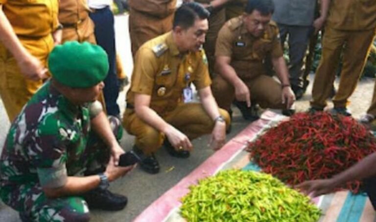 PJ BUPATI MUARO JAMBI SIDAK KEPASAR TRADISIONAL SENGETI