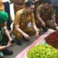 PJ BUPATI MUARO JAMBI SIDAK KEPASAR TRADISIONAL SENGETI