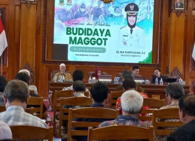 
					Walikota Mojokerto, Tegaskan Budidaya Maggot Bisa Tingkatkan Sumber Pendapatan Warganya 