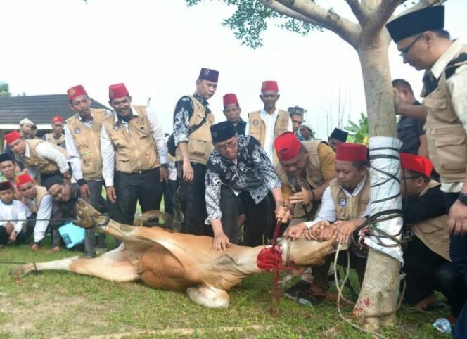 
					Sekda Budhi Hartono Mendukung Dan Mengapresiasi Pelatihan Juru Sembeli Halal