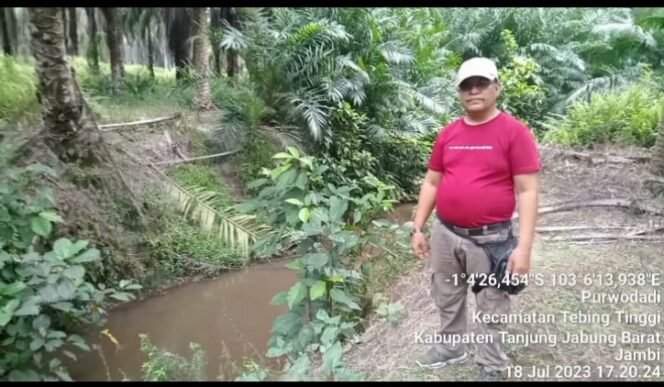 
					Sartifikasi RSPO dan ISPO Agrowiyana Bakri Grup Diragukan