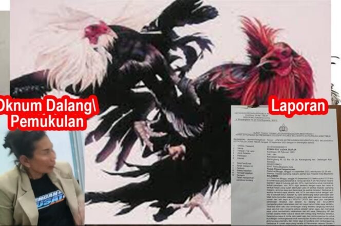 
					Lapor Komandan Gerombolan 303 Desa Pal Kecamatan Pagelaran Malang Jawa Timur Lakukan Penganiayaan Terhadap Jurnalis XPose News Id, Segera Tangkap!!!