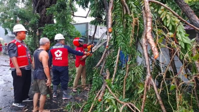 
					Call Center 112 Sidoarjo Siaga 24 Jam Panggilan Darurat Waspada Pohon Tumbang