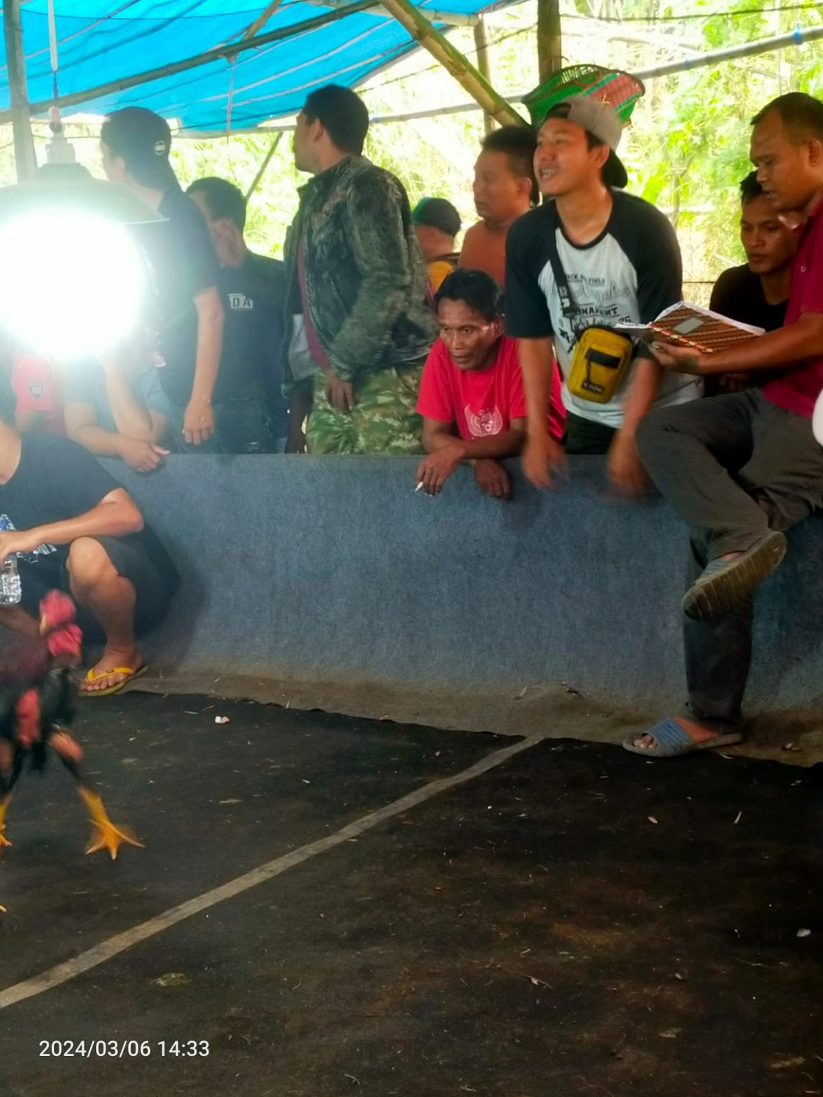 Area Lokasi Perjudian Sabung Ayam Dan Judi Dadu Cap Jiki