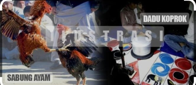 
					Gak Bahayatah !!! Bulan Romadhon Perjudian Kediri Desa Bangle Kecamatan Ngadiluwih Bangkit dari kubur APH, Terkesan di biarkan