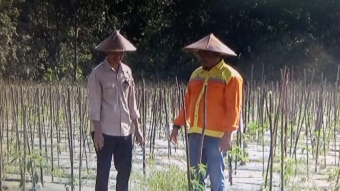 
					BRE Salurkan Bantuan Pertanian Berkelanjutan 