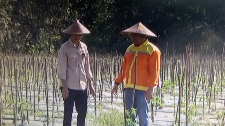 BRE Salurkan Bantuan Pertanian Berkelanjutan