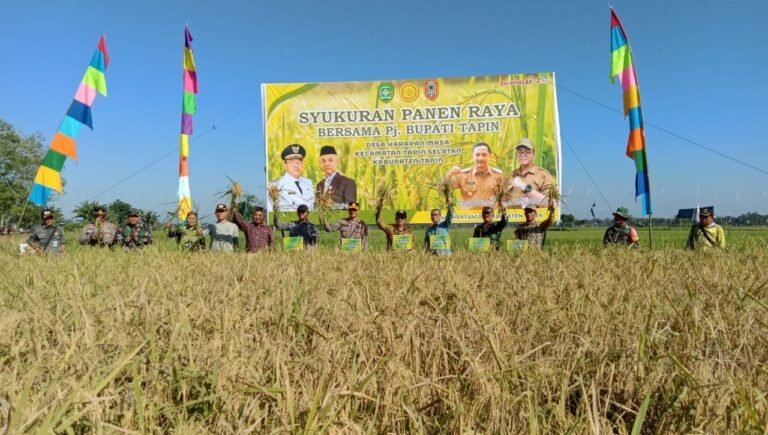 PJ Bupati Tapin Panen Raya, Swasembada Padi
