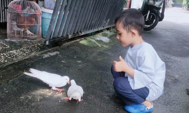 
					Hewan Kesayangan Warga Kota Mojokerto Baik Kucing, Anjing, Burung Dll, Setiap Saat Bisa Dilayani Dengan Program Puskeswan