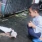 Inovasi Baru Mas PJ Pemkot Layani Kesehatan Hewan Kesayangan Lewat TEMAN PUSKESWAN