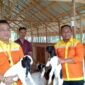 PT BRE serahkan Bantuan Pengembangan Ternak Kambing Untuk Desa Ayunan Papan