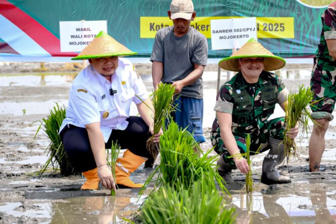 
					Presiden Prabowo Pimpin Tanam Padi Serentak, Pemkot Mojokerto Genjot Produktivitas Lahan Pertanian