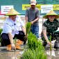 Presiden Prabowo Pimpin Tanam Padi Serentak, Pemkot Mojokerto Genjot Produktivitas Lahan Pertanian