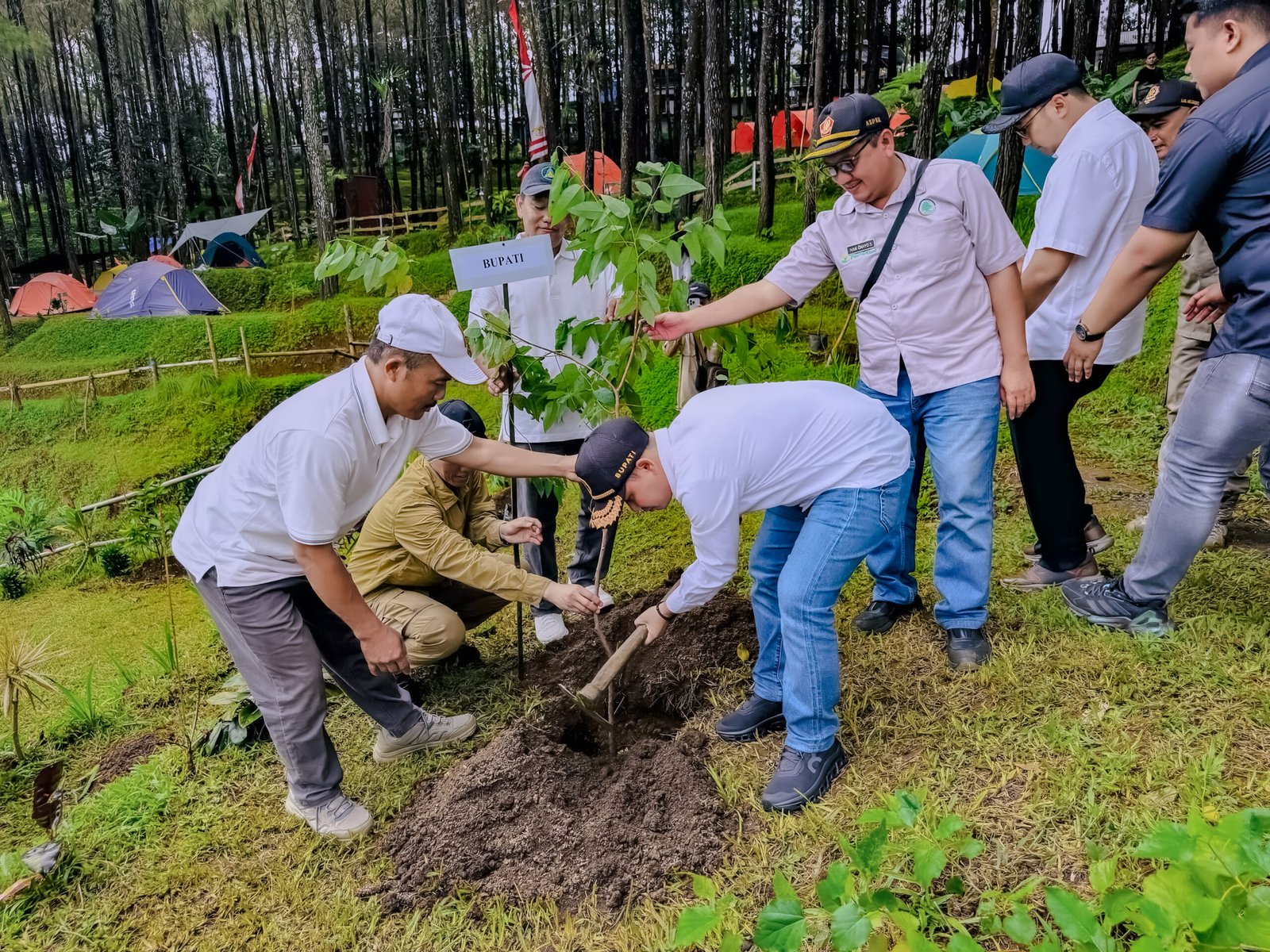 Alas Veenuz Trawas Rayakan Tiga Tahun Eksistensi dengan Menanam 1.000 Pohon, Bupati Albarra: Ini Investasi untuk Masa Depan Bumi
