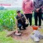 Penantian Panjang Warga Terjawab, Gus Bupati Resmikan Pembangunan Jembatan Bubak di Desa Gondang
